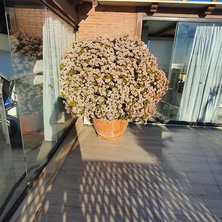 Atico De Lujo Encima Del Mar Apartment Ayamonte